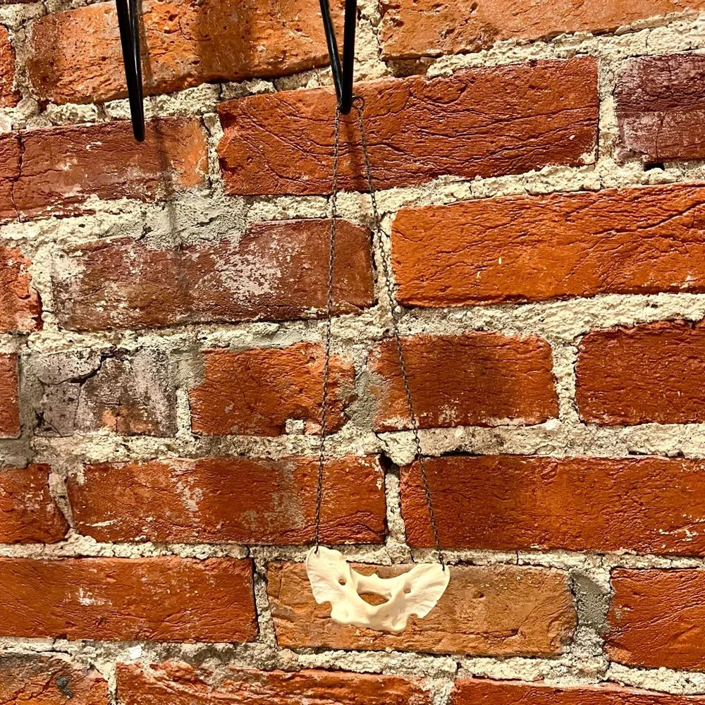 Statement Necklace 🐺💞 Authentic Wolf Vertebra & Gold-Tone Hardware - Picture 2 of 3